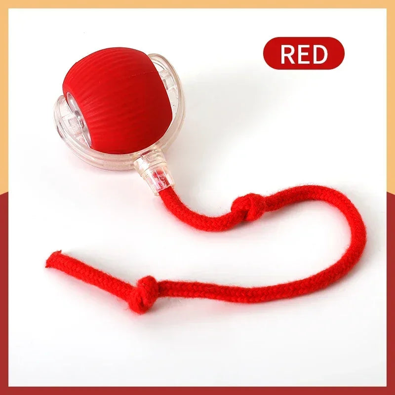 Interactive Cat Ball Toy Automatic Rolling Rechargeable Smart Pet Toy