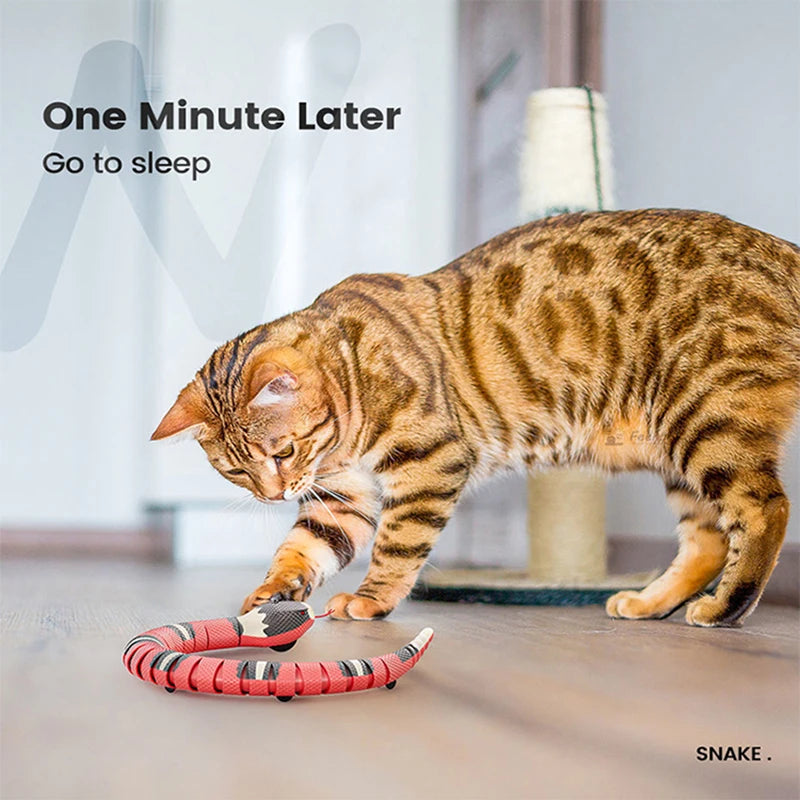 Automatic Cat Toy USB Charging Interactive Snake Teaser For Cats