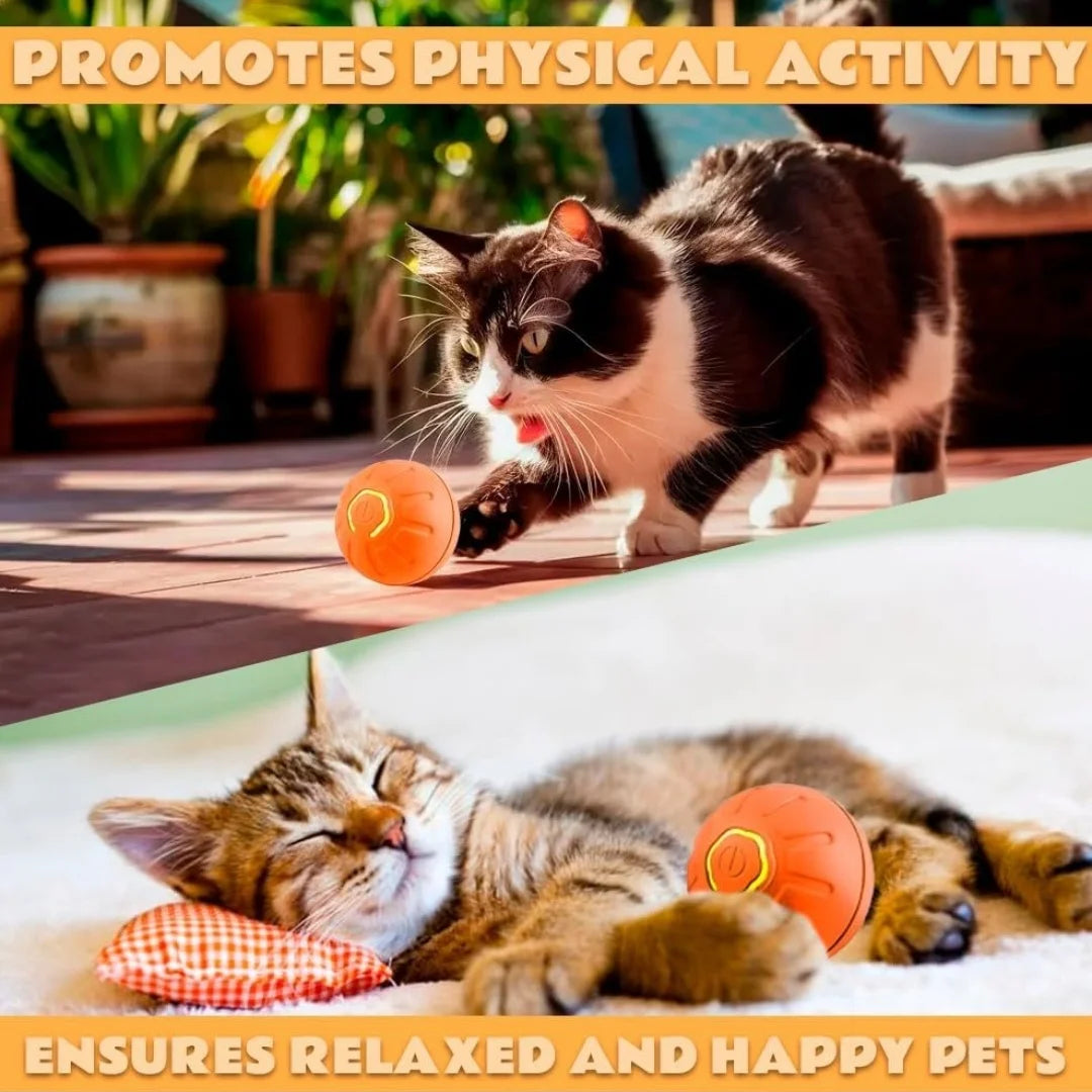 Gravity Electric Pet Ball Bouncing Toy For Dogs And Cats