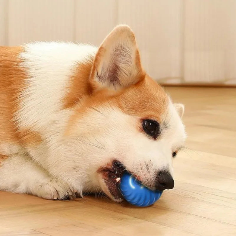 Automatic Moving Dog Toy Ball USB Rotating Chew Toy Puppies
