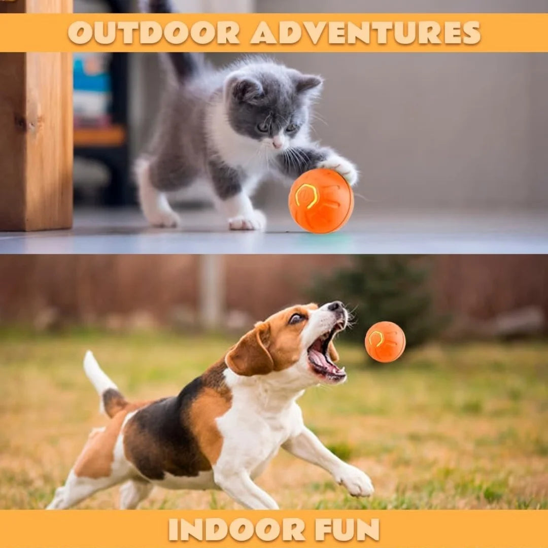 Gravity Electric Pet Ball Bouncing Toy For Dogs And Cats