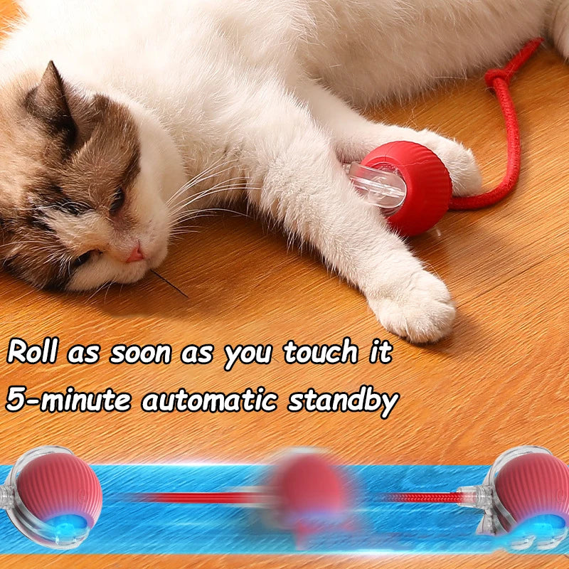 Interactive Cat Ball Toy Automatic Rolling Rechargeable Smart Pet Toy