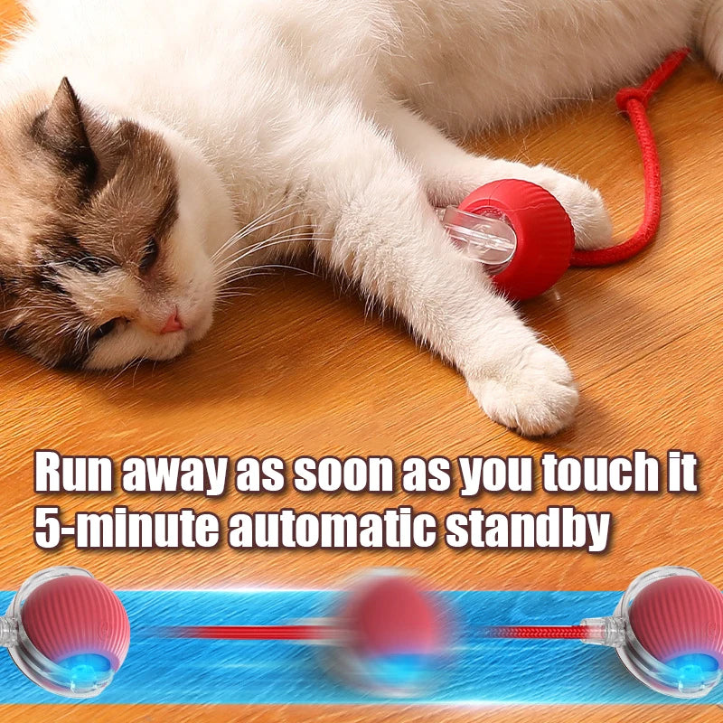 Rechargeable Smart Cat Toy Automatic Rolling Ball Imitating Mouse Tail
