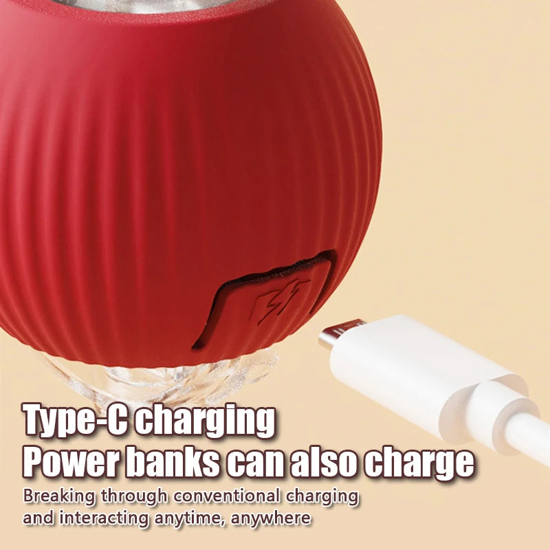 Rechargeable Smart Cat Toy Automatic Rolling Ball Imitating Mouse Tail