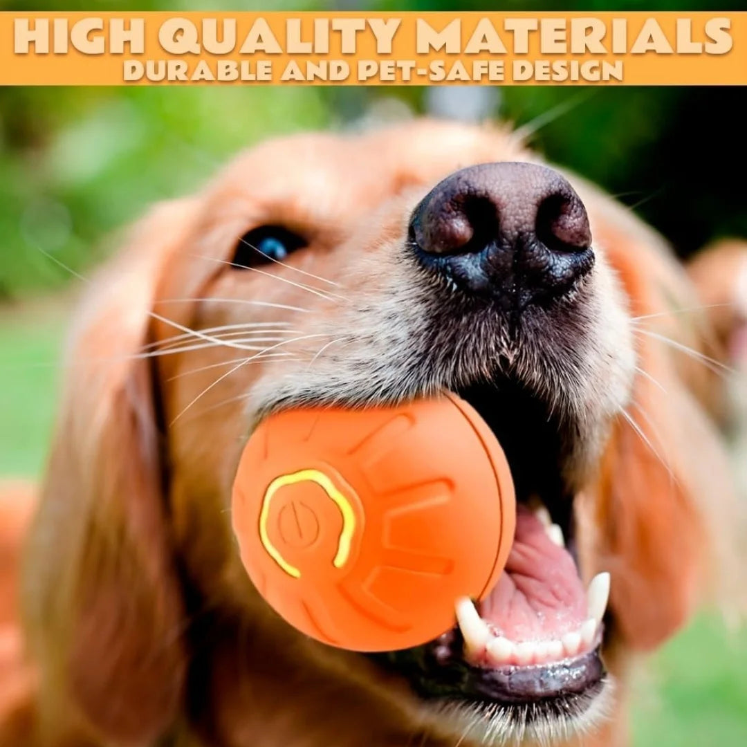 Gravity Electric Pet Ball Bouncing Toy For Dogs And Cats