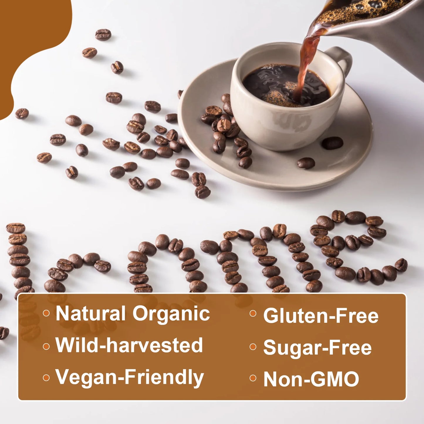 Beworths Mushroom Coffee With Reishi Lions Mane For Immunity