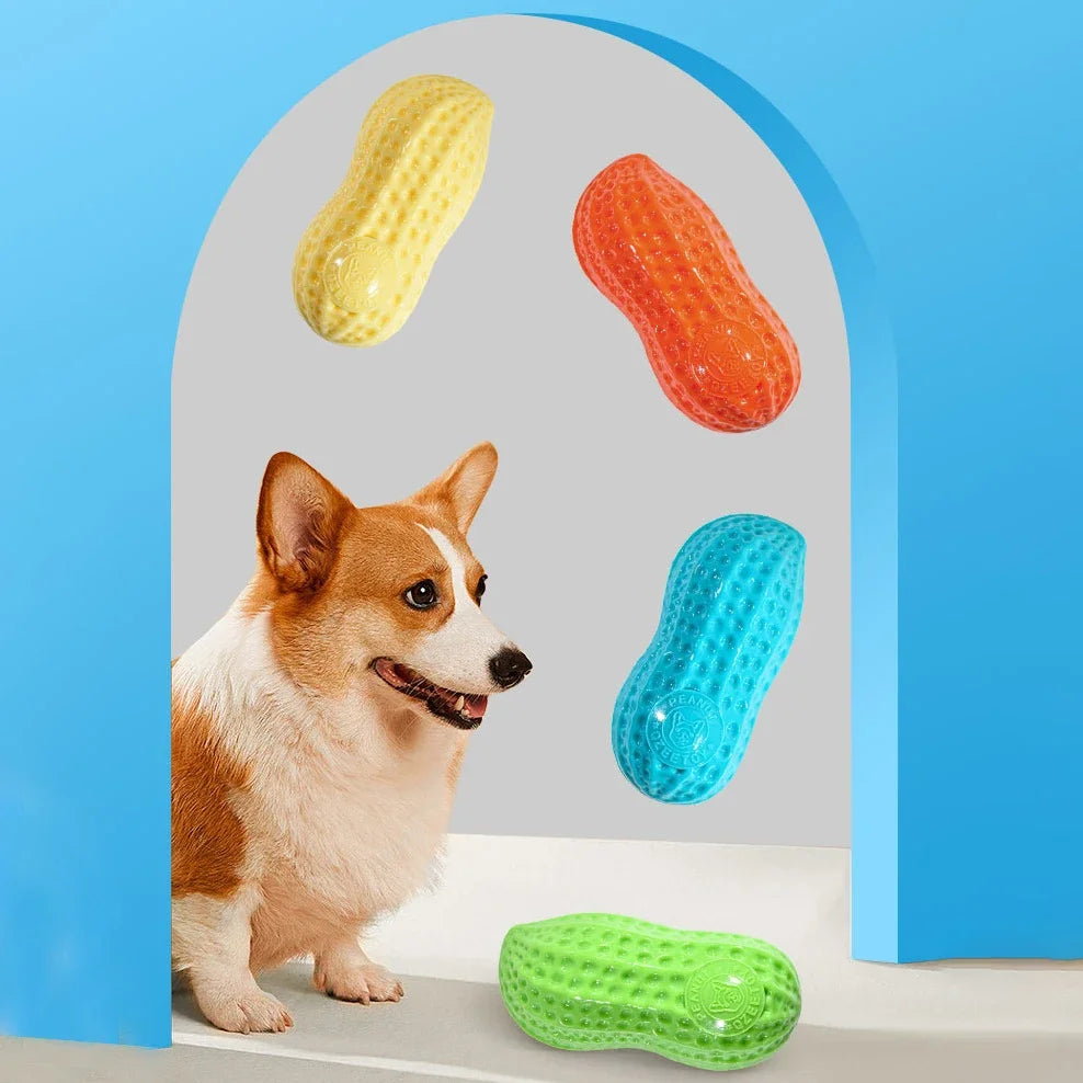 Peanut Shaped Dog Chew Toy With Squeaker Rubber TPR Interactive