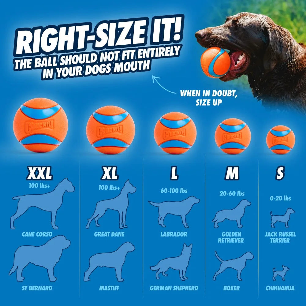 Aggressive Chewer Tug Toy With Ball And Pull Strap