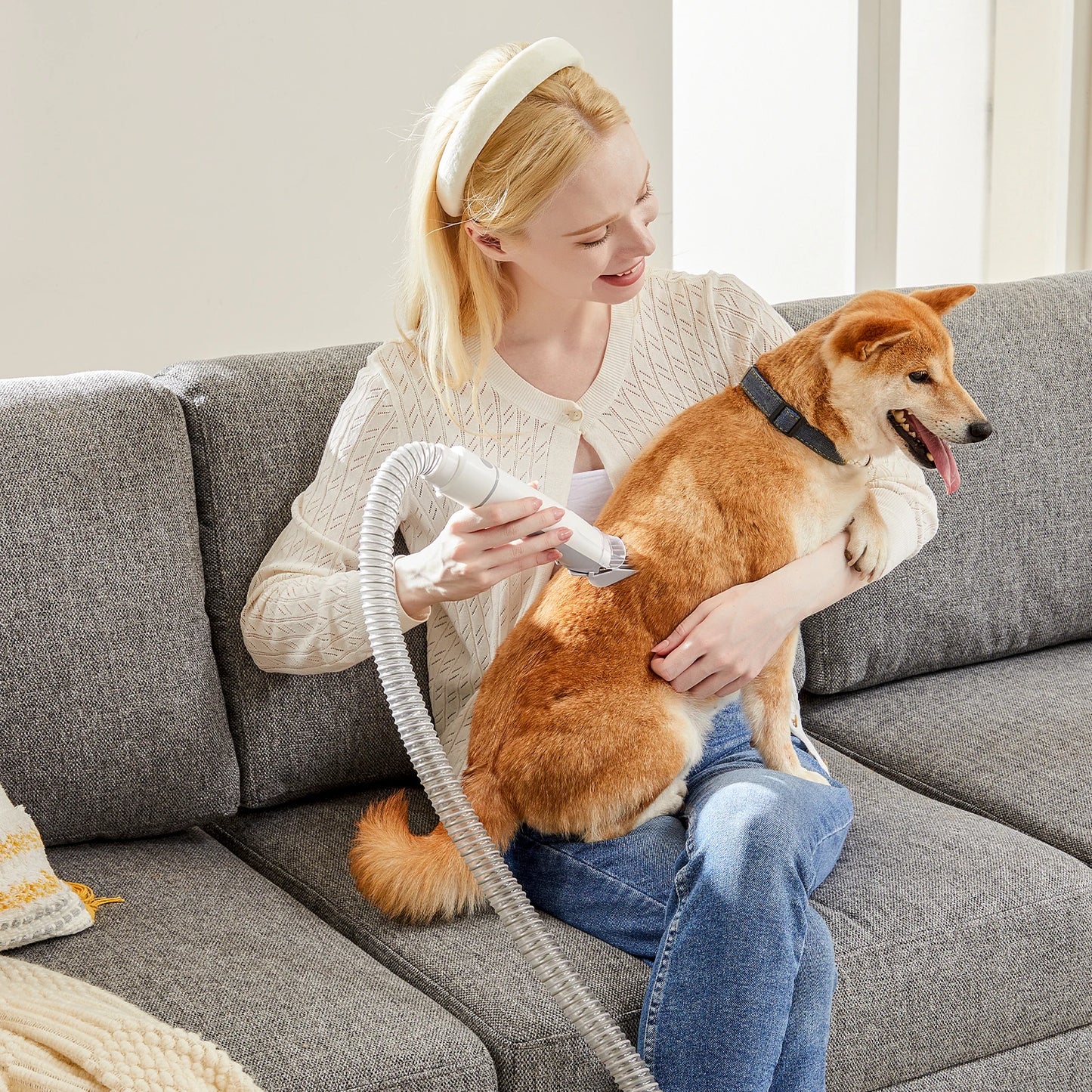 Professional Pet Grooming Vacuum Kit With Cordless Clippers For Cats