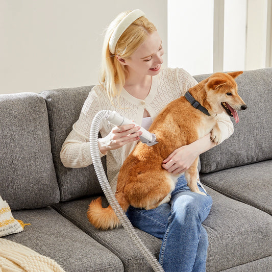 Professional Pet Grooming Vacuum Kit With Cordless Clippers For Cats