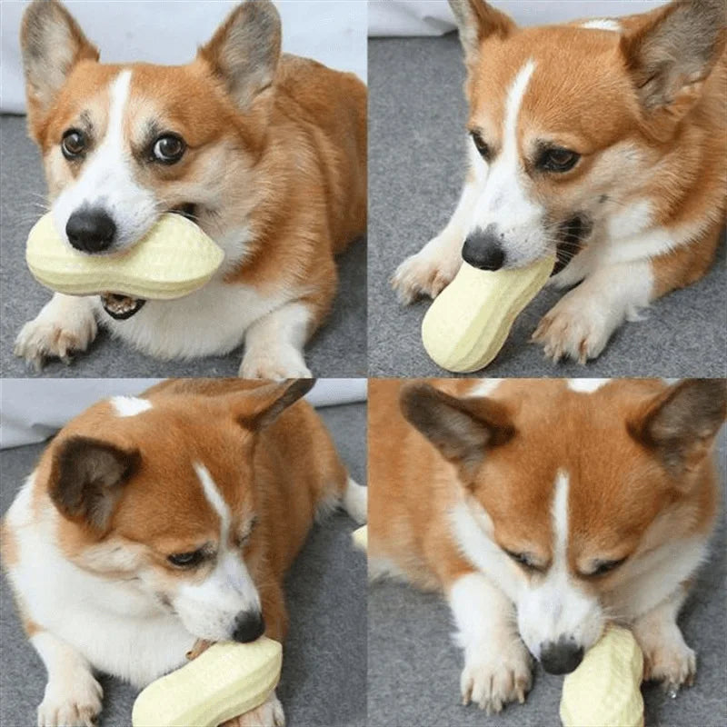 Peanut Shaped Dog Chew Toy With Squeaker Rubber TPR Interactive