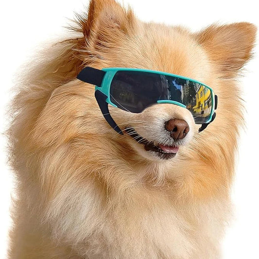 Dog Sunglasses For Small Breeds Windproof UV Eye Protection