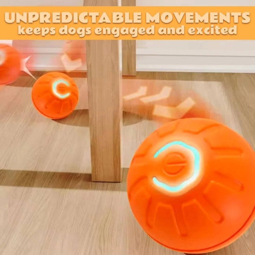 Gravity Electric Pet Ball Bouncing Toy For Dogs And Cats