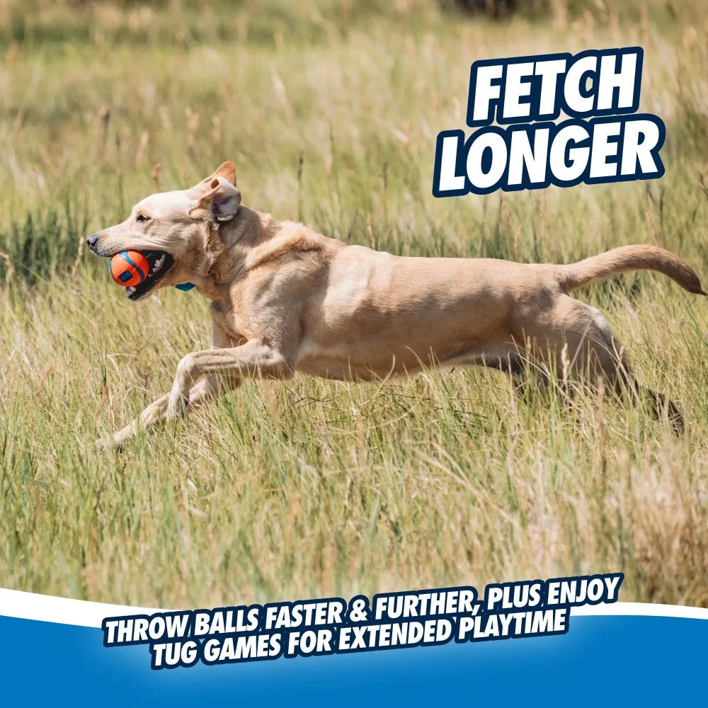 Aggressive Chewer Tug Toy With Ball And Pull Strap