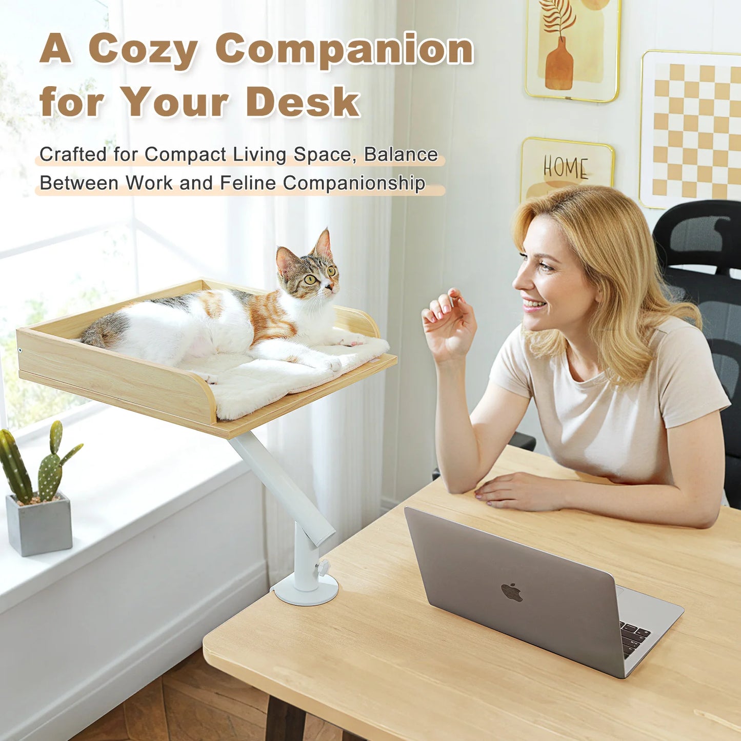PAWZ Road Cat Desk Bed 360 Rotating Hammock for Desk