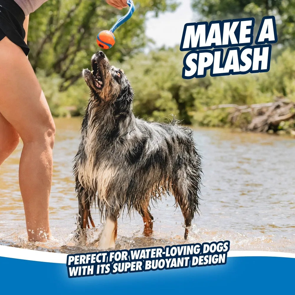 Aggressive Chewer Tug Toy With Ball And Pull Strap