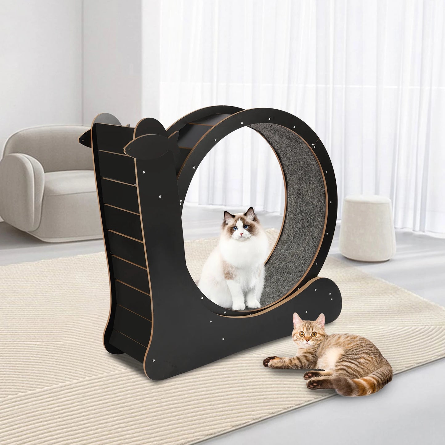 Cat Exercise Wheel Treadmill With Carpeted Runway Toy