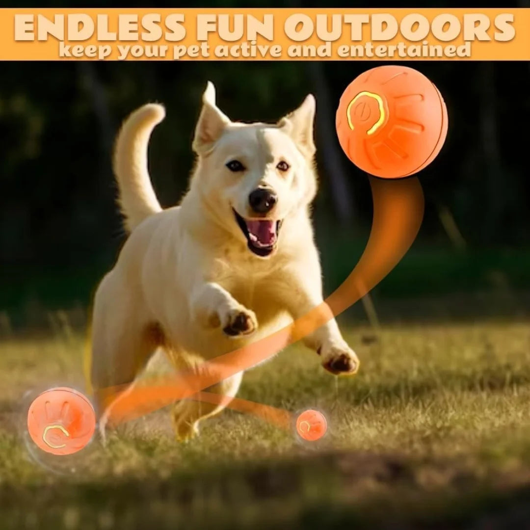 Gravity Electric Pet Ball Bouncing Toy For Dogs And Cats