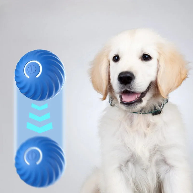 Automatic Moving Dog Toy Ball USB Rotating Chew Toy Puppies