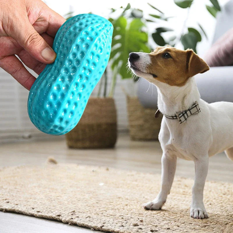 Peanut Shaped Dog Chew Toy With Squeaker Rubber TPR Interactive