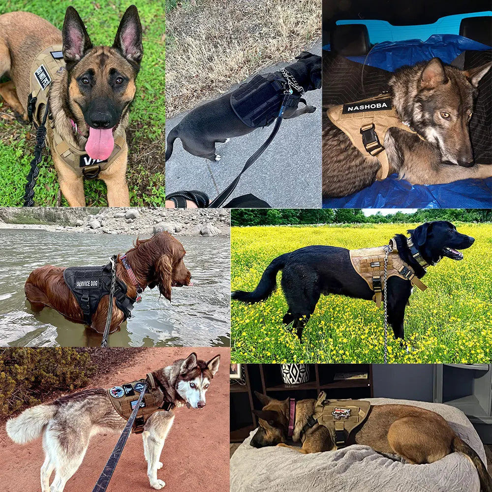 PETRAVELCN Dog Harness And Leash Set Vest