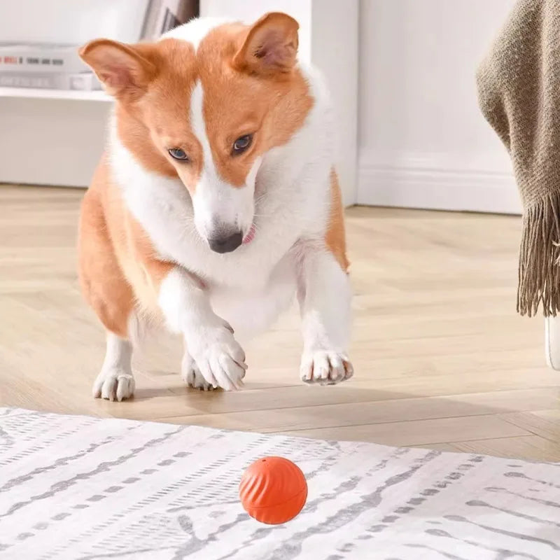 Automatic Moving Dog Toy Ball USB Rotating Chew Toy Puppies